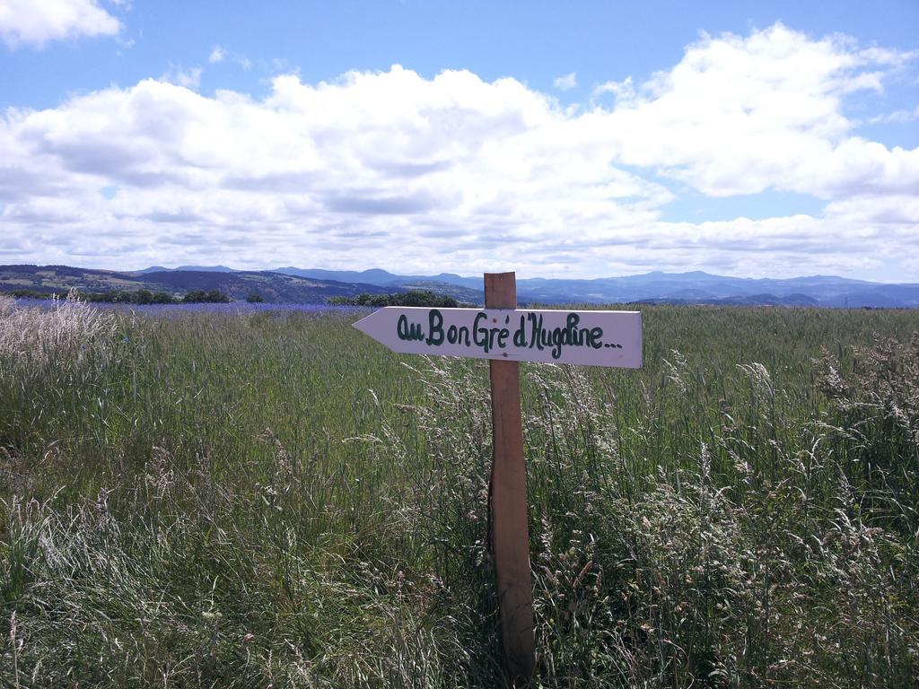 Au Bon Gre D'Hugoline Bed & Breakfast Blanzac  ภายนอก รูปภาพ