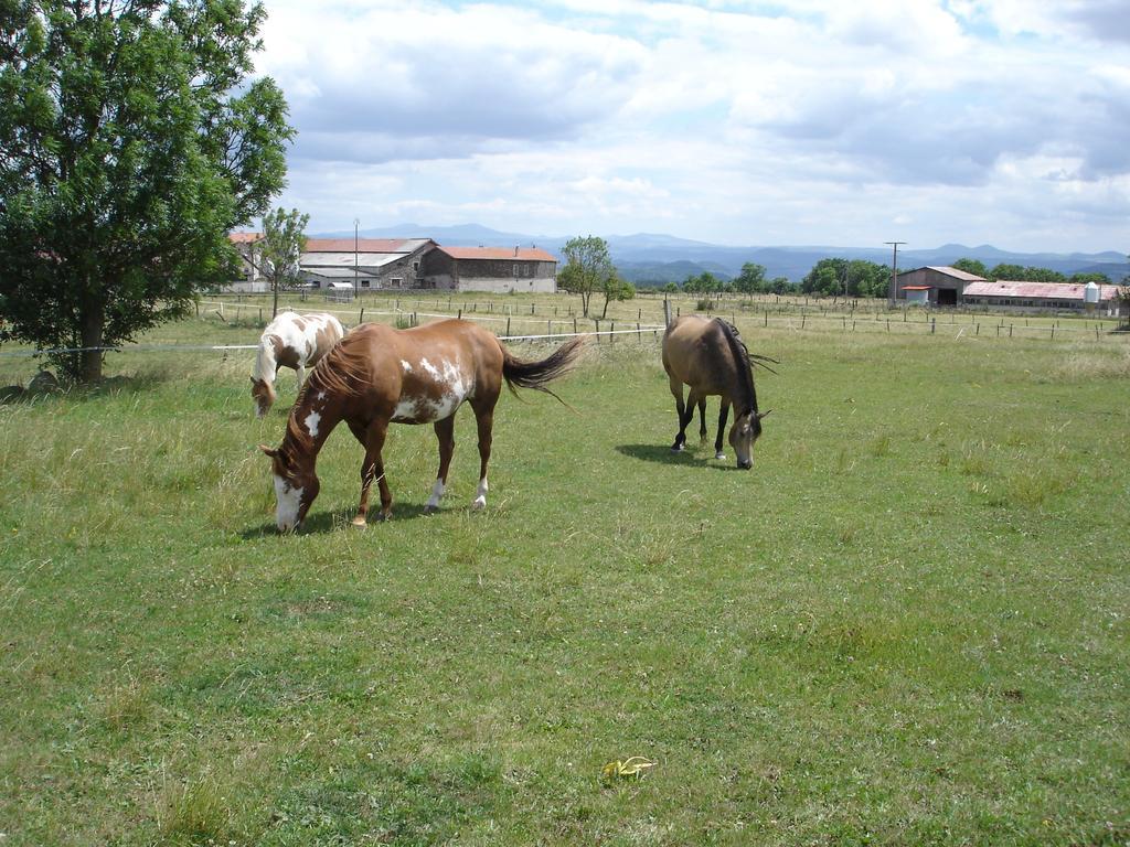 Au Bon Gre D'Hugoline Bed & Breakfast Blanzac  ภายนอก รูปภาพ