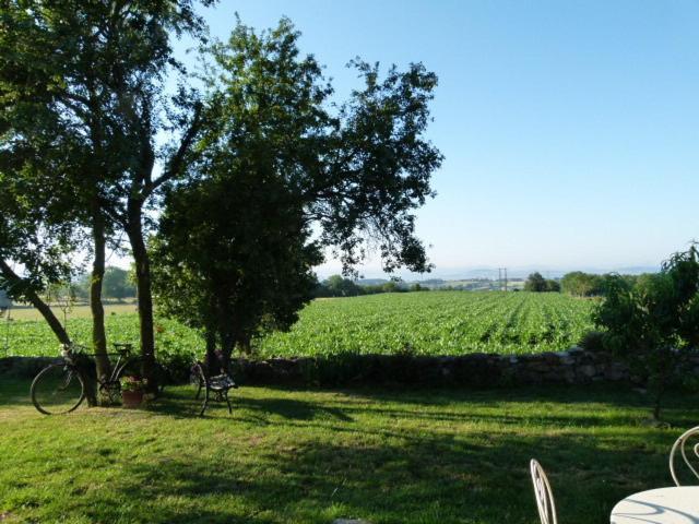 Au Bon Gre D'Hugoline Bed & Breakfast Blanzac  ภายนอก รูปภาพ