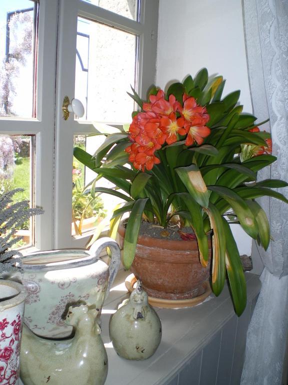Au Bon Gre D'Hugoline Bed & Breakfast Blanzac  ภายนอก รูปภาพ