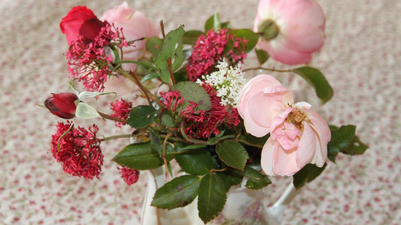 Au Bon Gre D'Hugoline Bed & Breakfast Blanzac  ภายนอก รูปภาพ